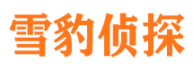 南郊调查公司